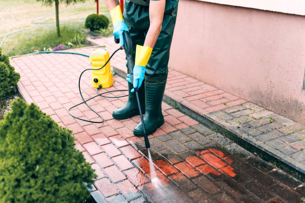 Best Roof Pressure Washing  in Tawas City, MI