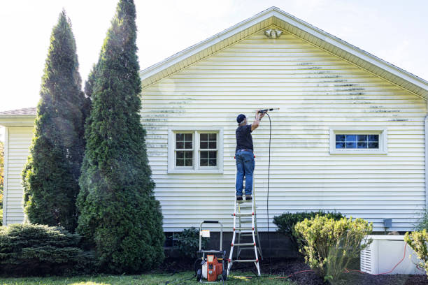 Best Residential Pressure Washing Services  in Tawas City, MI
