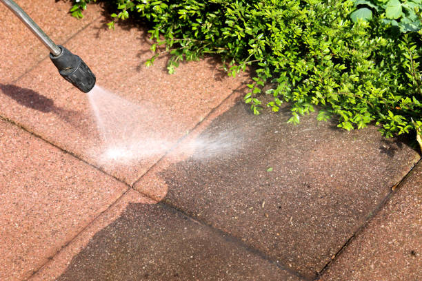 Best Best Pressure Washing Companies  in Tawas City, MI