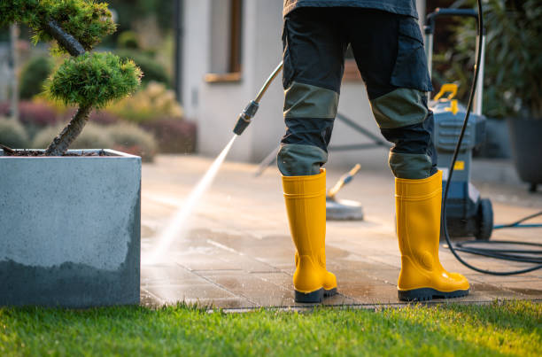 Best Local Pressure Washing Services  in Tawas City, MI
